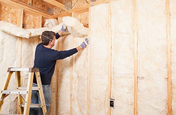 Best Attic Insulation Installation  in Richmond, TX