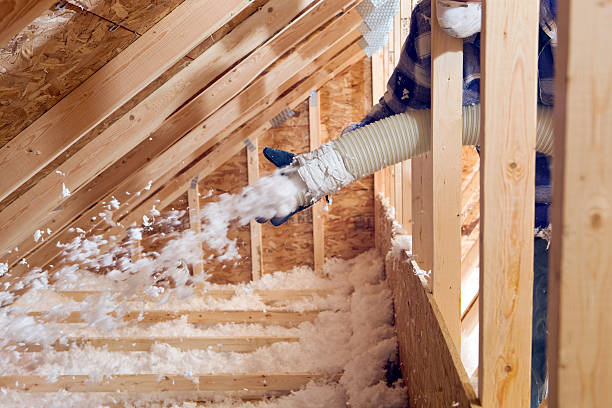 Best Basement Insulation  in Richmond, TX